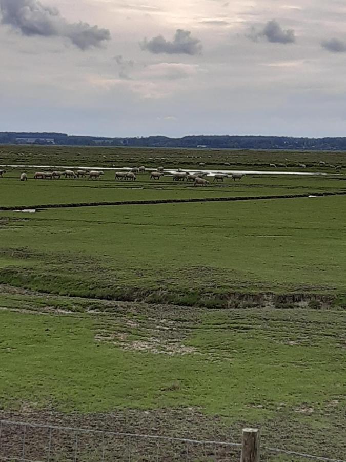 Les Obiones, Vue Laterale Mer, Fort Mahon Plage, Magnifique Studio Cabine 4P, Avec Balcon , Parking Prive Gratuit, Wifi, Classe 2 Etoiles, Exposition Plein Sud En Baie De Somme Exteriér fotografie