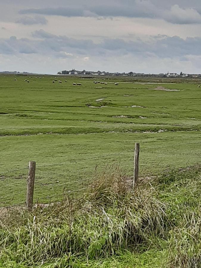 Les Obiones, Vue Laterale Mer, Fort Mahon Plage, Magnifique Studio Cabine 4P, Avec Balcon , Parking Prive Gratuit, Wifi, Classe 2 Etoiles, Exposition Plein Sud En Baie De Somme Exteriér fotografie
