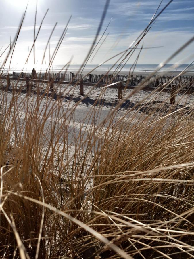 Les Obiones, Vue Laterale Mer, Fort Mahon Plage, Magnifique Studio Cabine 4P, Avec Balcon , Parking Prive Gratuit, Wifi, Classe 2 Etoiles, Exposition Plein Sud En Baie De Somme Exteriér fotografie